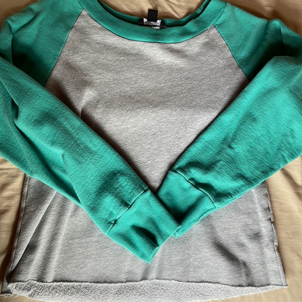 American eagle cropped sweatshirt